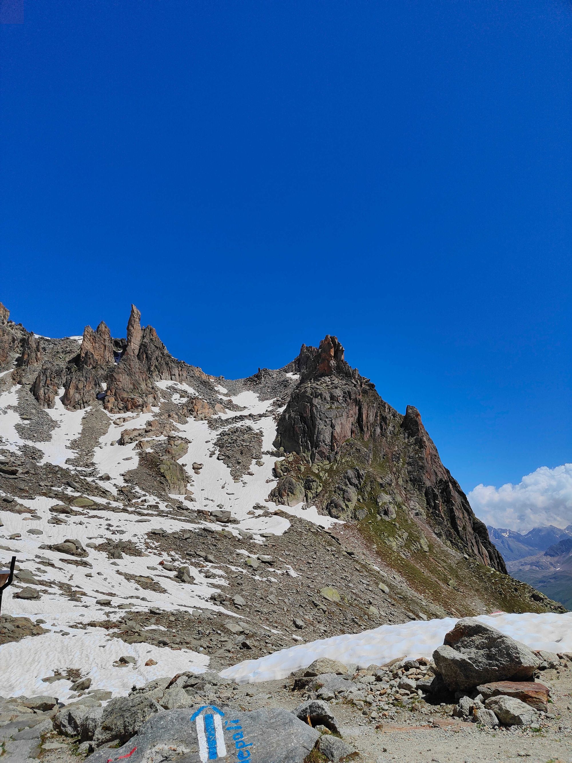Schildchröttli Comeback